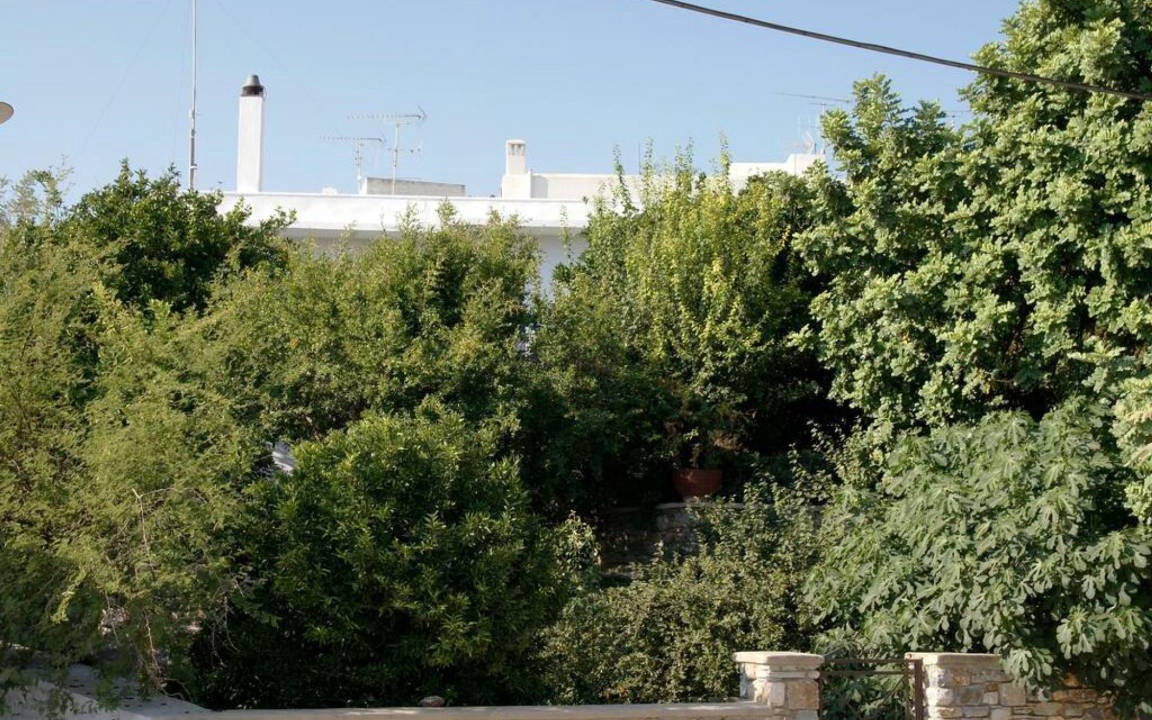 Photo of Others in Filoti