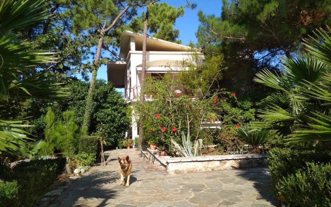 Photo of Others in Kiparissia