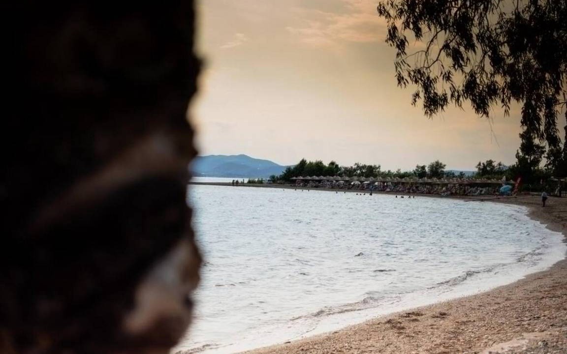 Photo of Others in Agria