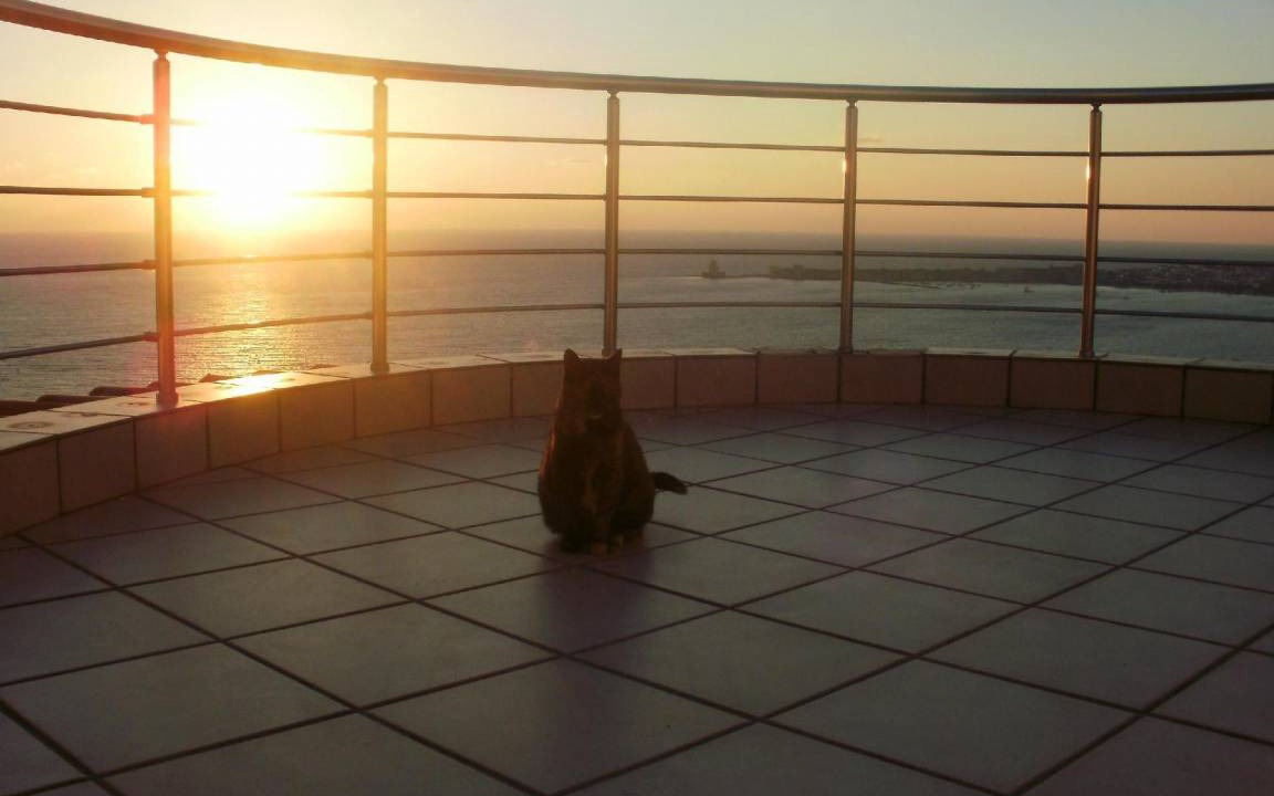 Photo of Patio Balcony in Pylos-Nestoras
