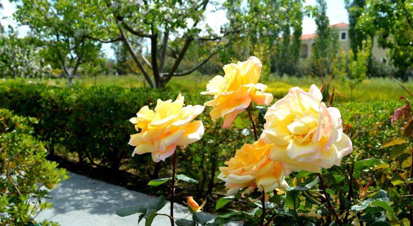 Photo of Outdoor in Skala Kallonis