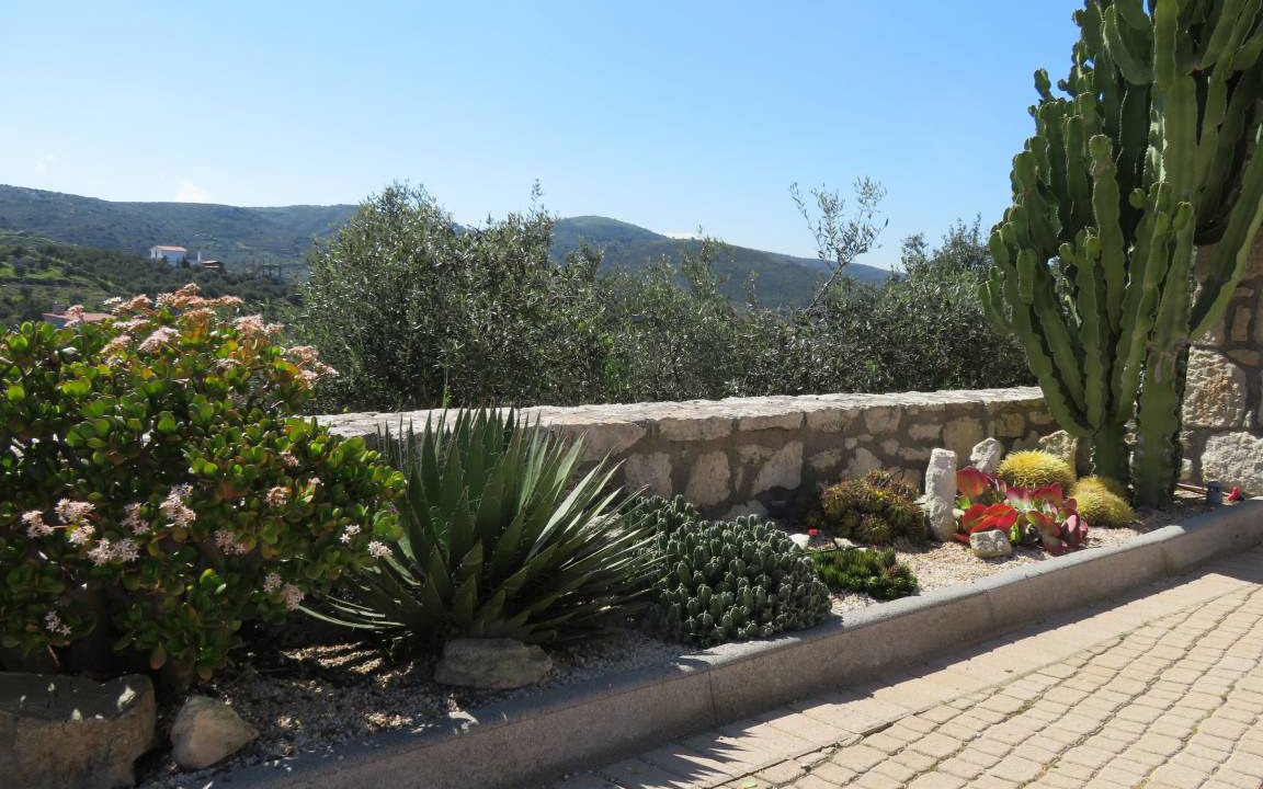 Photo of Others in Pano Chersonissos