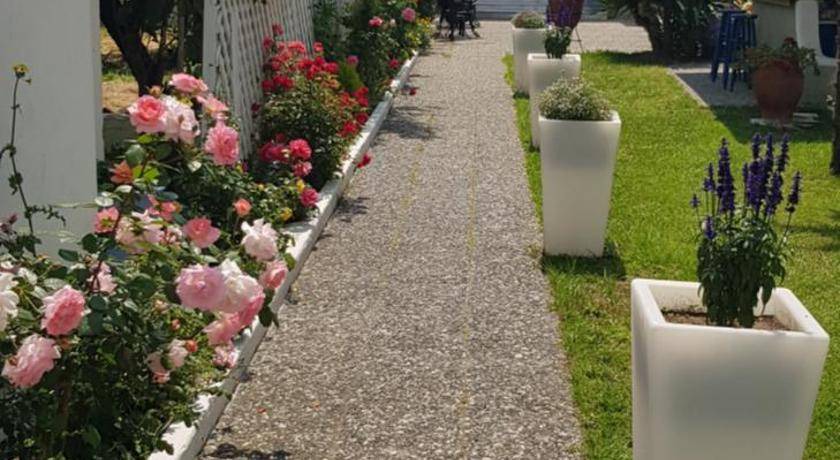 Photo of Others in Thasos Town