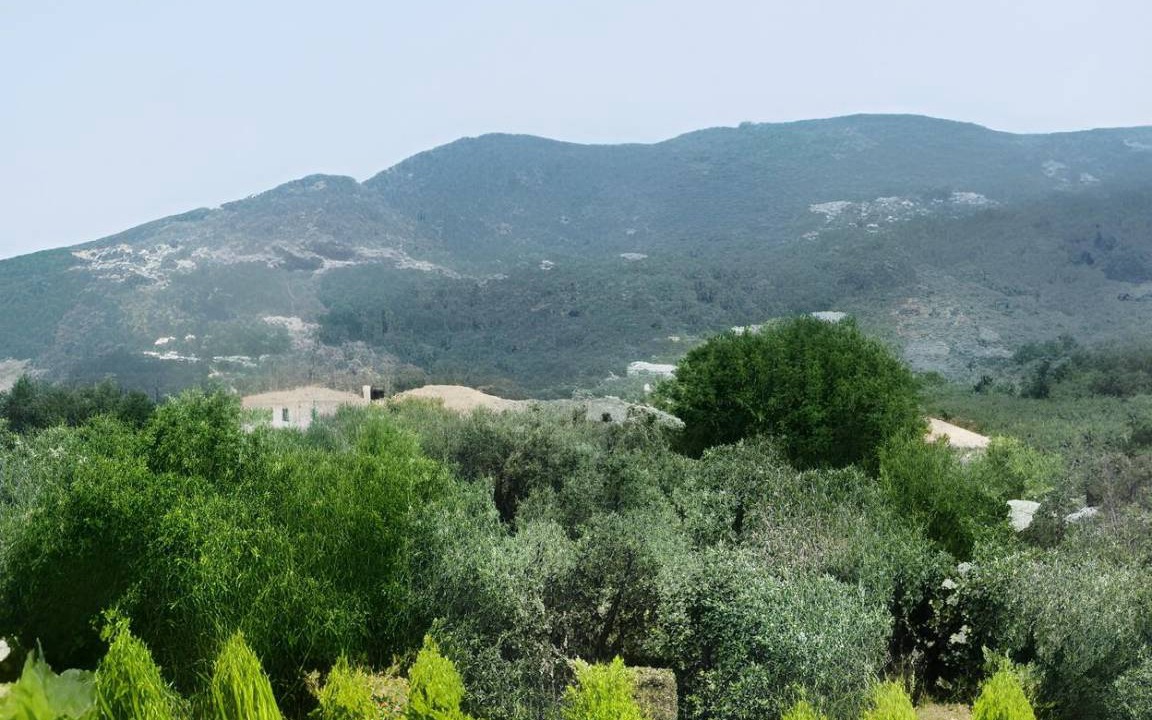 Photo of Others in Skopelos
