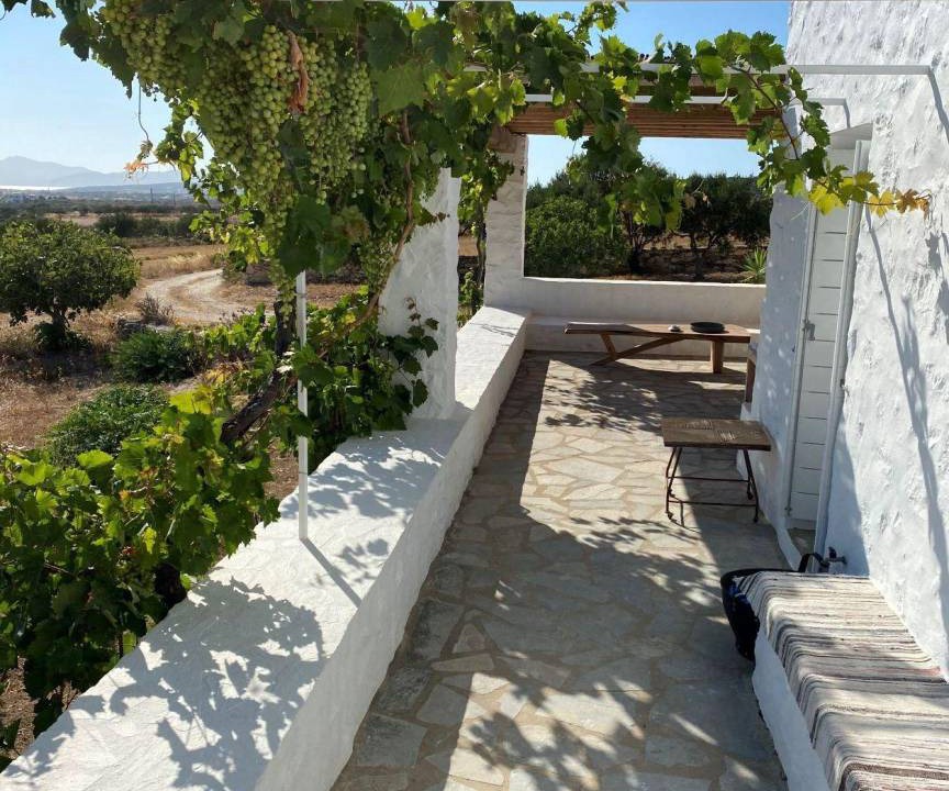 Photo of Others in Paros