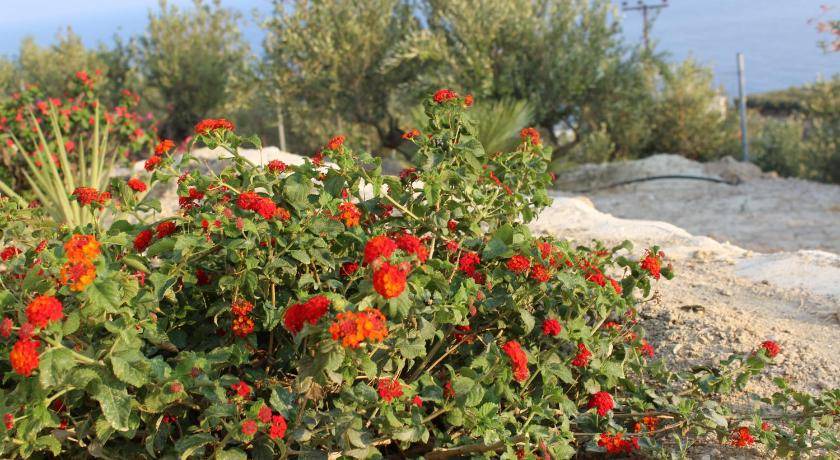 Photo of Outdoor in Ferma