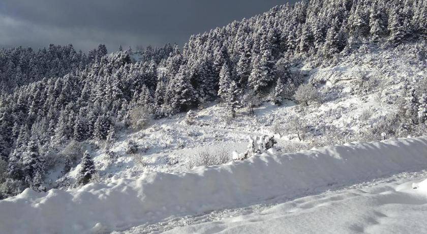Photo of Others in Karpenisi