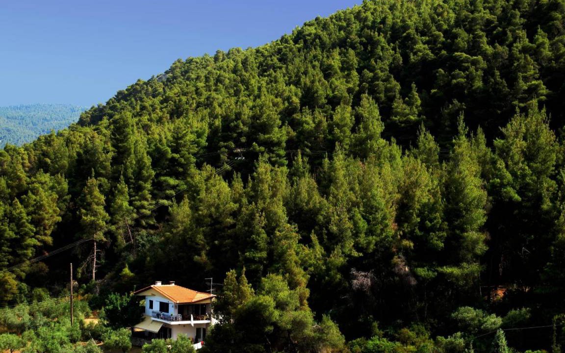 Photo of Others in Sithonia