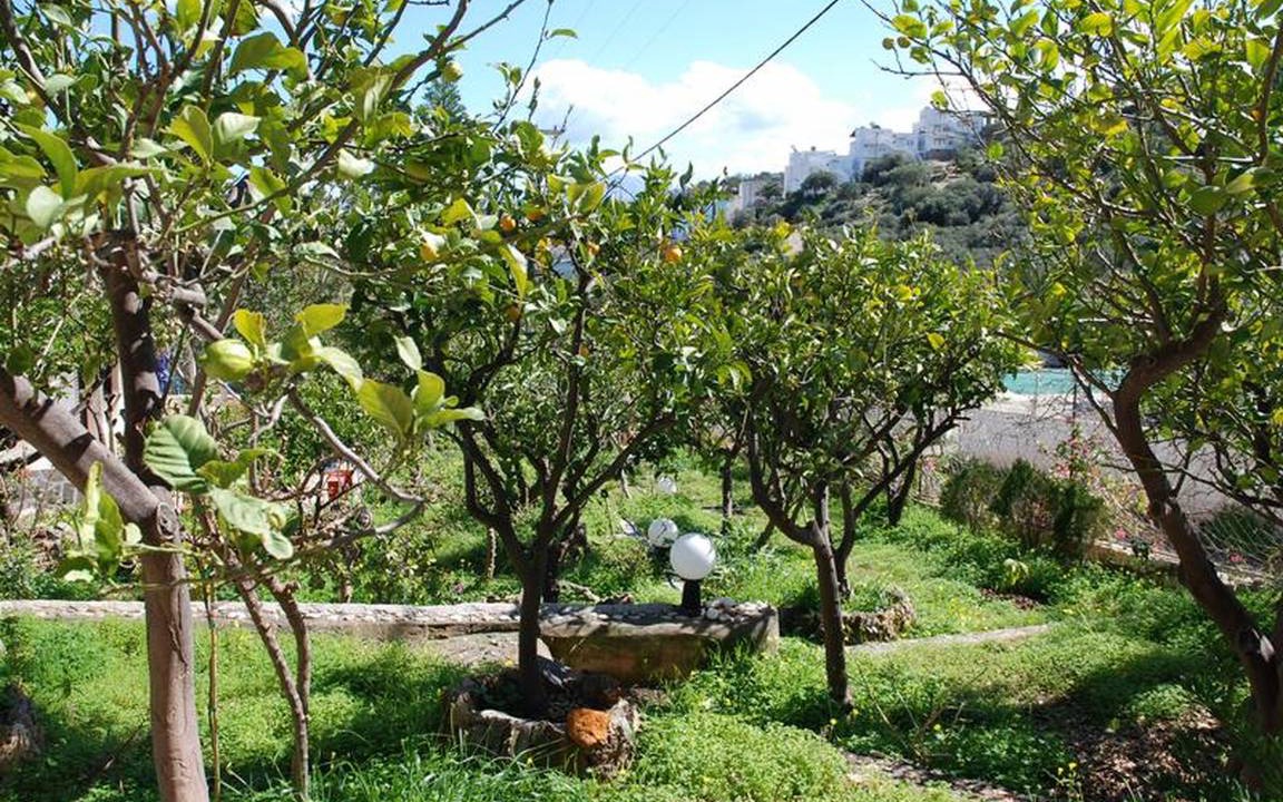 Photo of Outdoor in Ammoudara