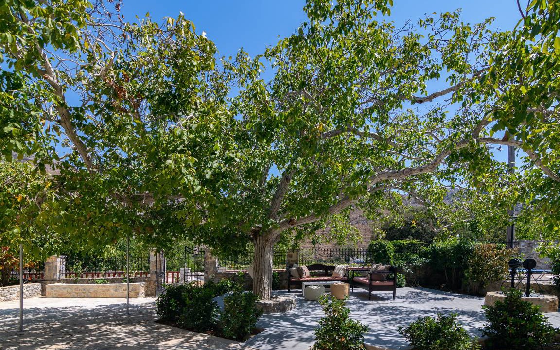 Photo of Others in Impros