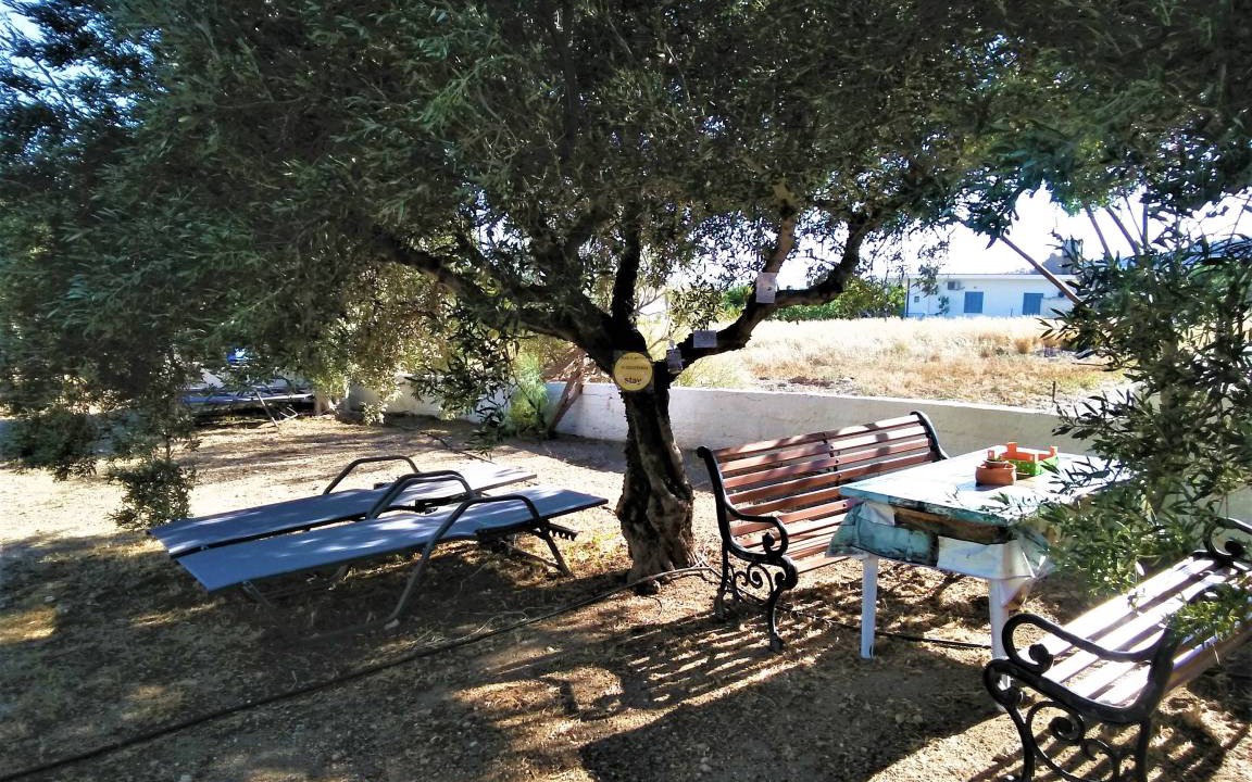 Photo of Others in Ferma