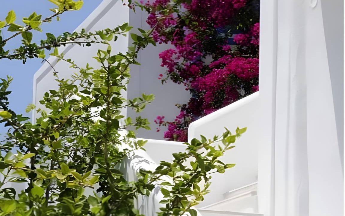 Photo of Others in Paros