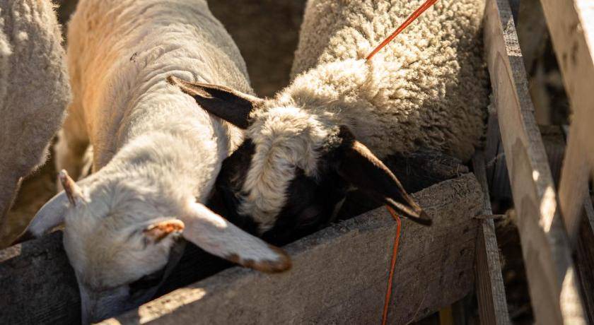 Photo of Others in Argassi