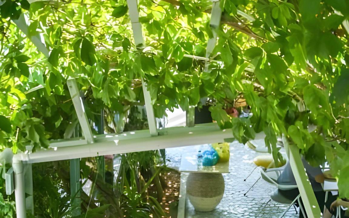 Photo of Others in Tilos