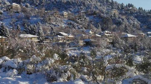 Photo of Buildings in Agrinio