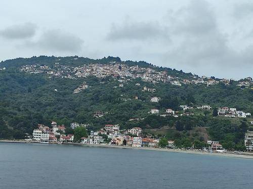 Photo of Others in Glossa
