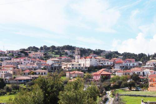 Photo of Others in Koiliomenos