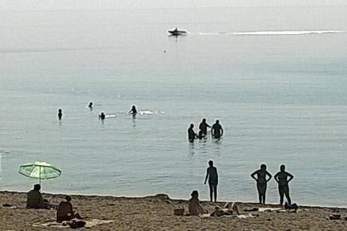 Photo of Others in Katerini