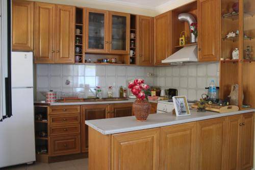 Photo of Kitchen in Kefalonia