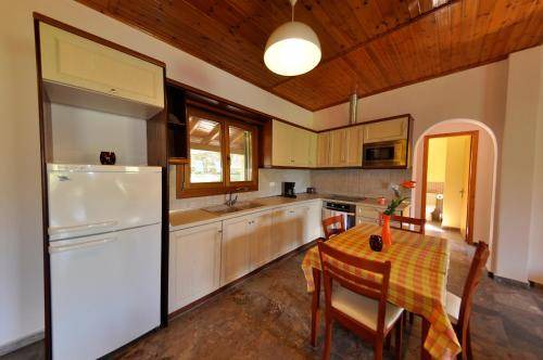 Photo of Kitchen in Agios Georgios Pagon