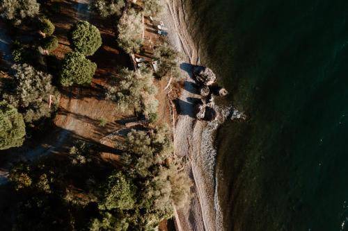 Photo of Others in Mytilene
