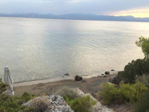 Photo of Others in Limni Vouliagmenis