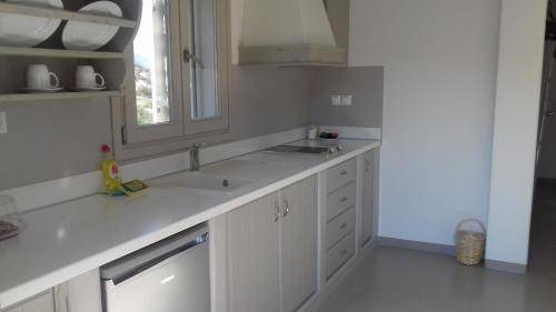 Photo of Others in Schinoussa Town