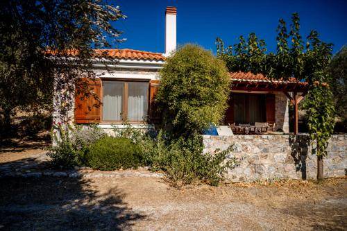 Photo of Others in Mytilene