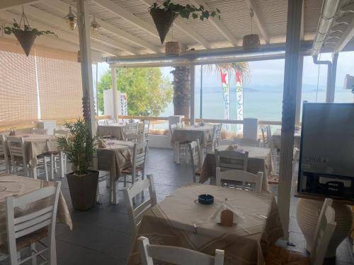 Photo of Others in Milos