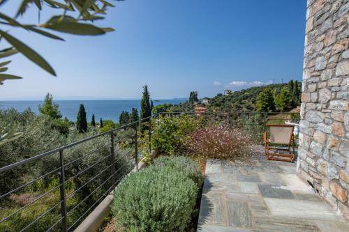 Photo of Others in Neo Klima