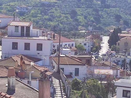 Photo of Others in Glossa