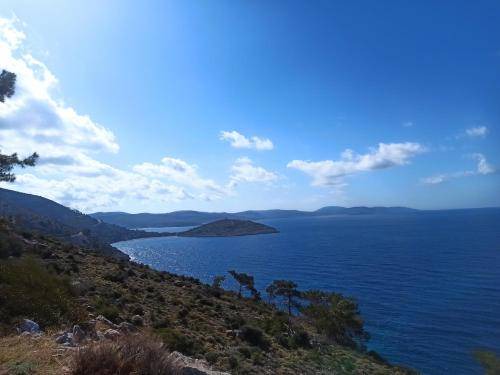 Photo of Others in Avgonima