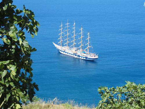 Photo of Others in Skopelos