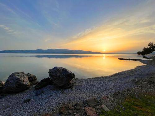 Photo of Others in Mytilene