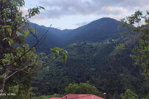 Photo of Outdoor in Agrafa