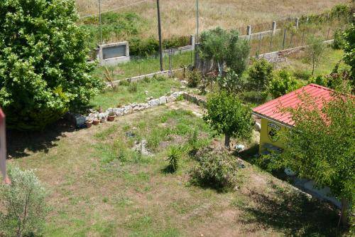 Photo of Others in Preveza