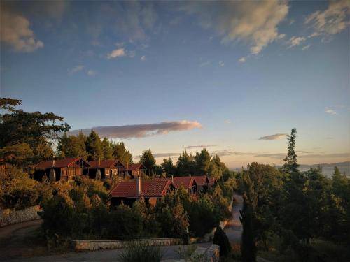 Photo of Others in Chalkidiki Region