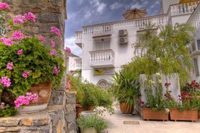 Photo of Others in Livadia