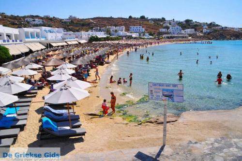 Photo of Others in Platis Gialos