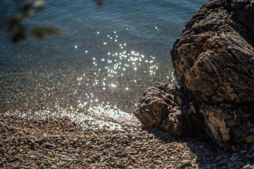 Photo of Others in Mytilene