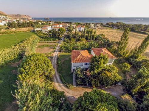 Photo of Others in Eresos-Antissa