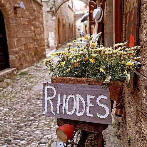 Photo of Others in Petaloudes