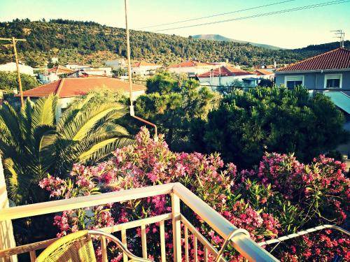 Photo of Others in Skala Sotiros