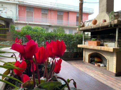 Photo of Patio Balcony in Elefsina