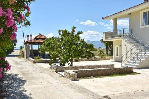 Photo of Others in Nea Kios