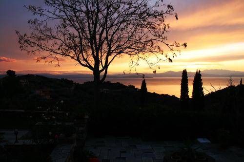 Photo of Others in Agios Mamas