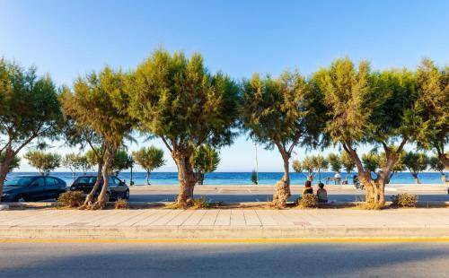 Photo of Others in Ialyssos