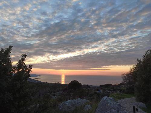 Photo of Others in Avgonima