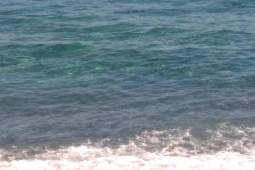 Photo of Others in Archanes-Asterousia
