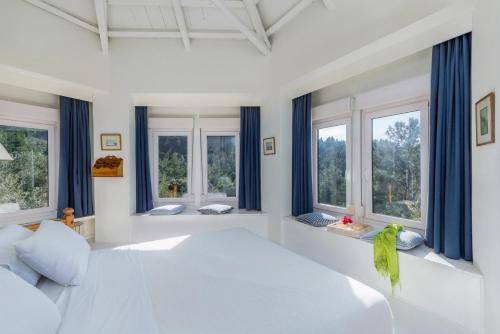 Photo of Others in Skopelos